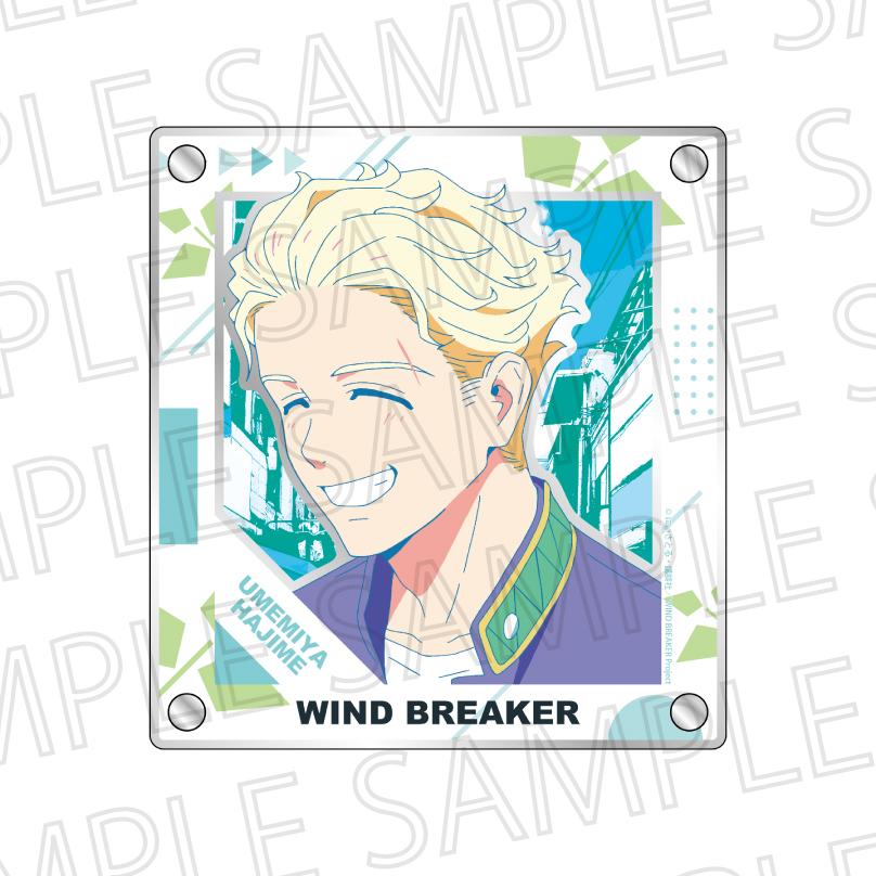 WINDBREAKER Triple-Layer Acrylic Mirror Plate(Pop Color) Hajime Umemiya