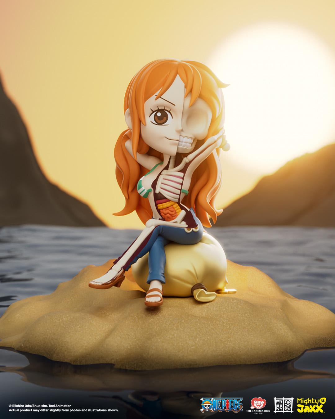XXRAY: One Piece Nami Wanted Series