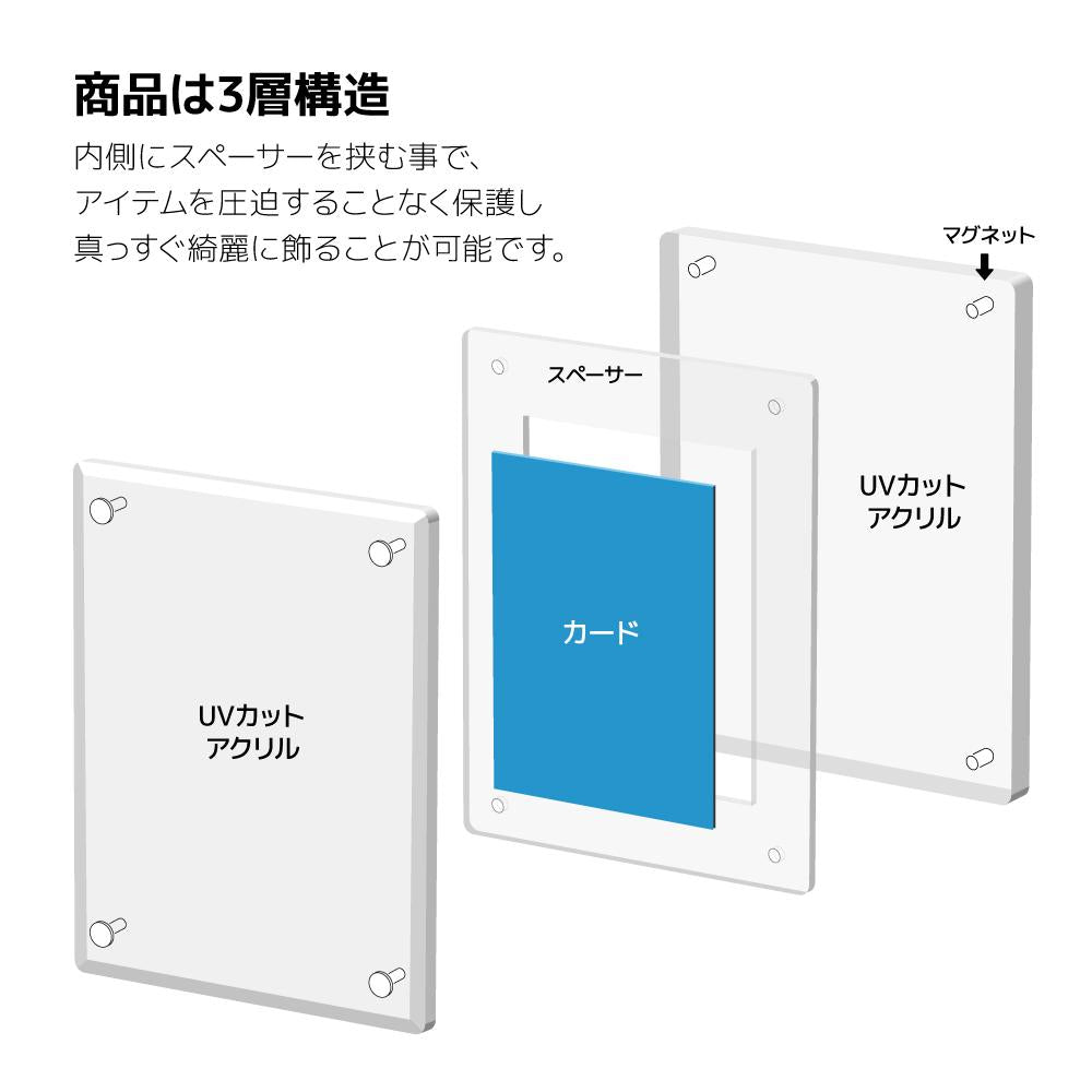 The Case PREMIUM (Standard Size)