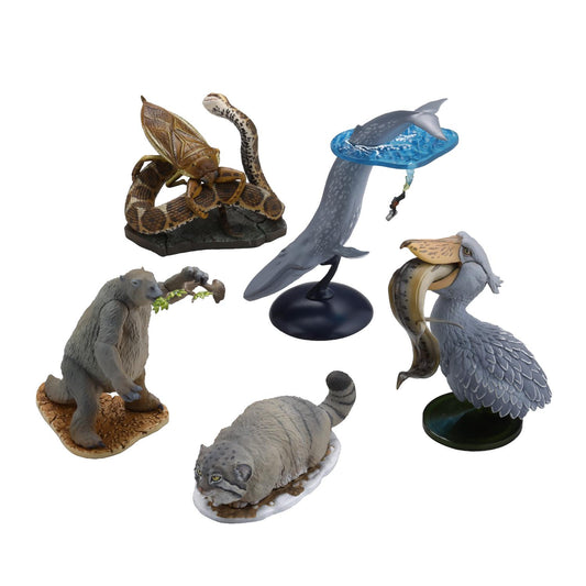 (Blind Box) Darwin's Amazing Animals: Stories of Wonder and Discovery Miniature Figure BOX