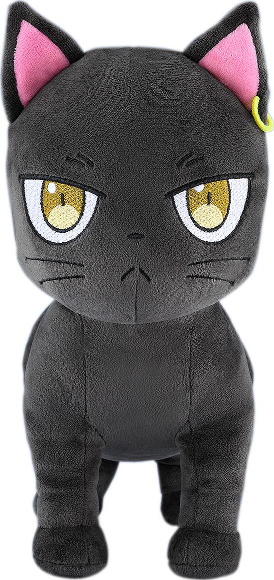 The Classroom of a Black Cat and a Witch Plushie Claude