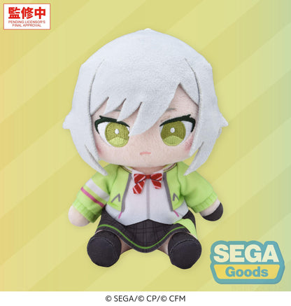 "HATSUNE MIKU: COLORFUL STAGE!" MYSEKAI Plush "Shiho Hinomori Plush" (S)