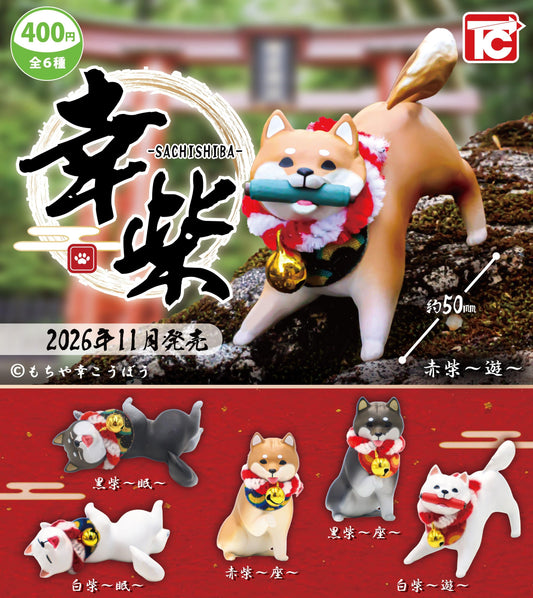 <Capsule Toy>Sachishiba