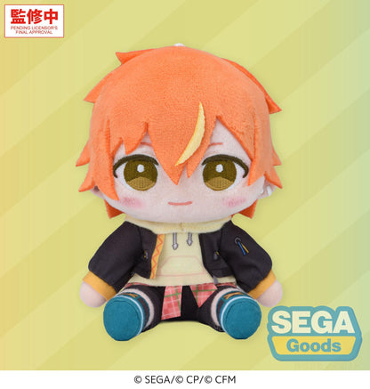 "HATSUNE MIKU: COLORFUL STAGE!" MYSEKAI Plush "Akito Shinonome Plush" (S)