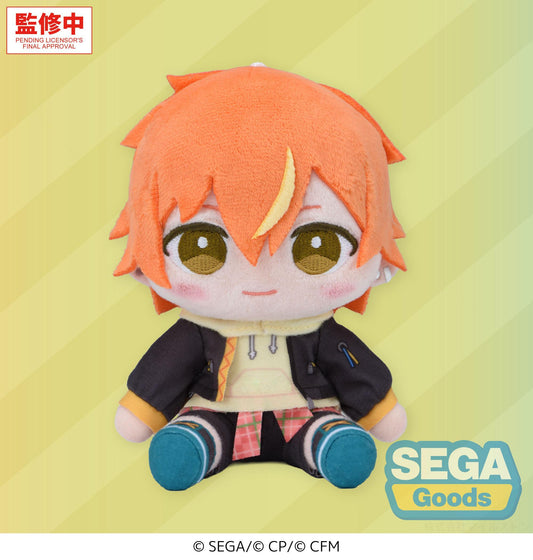 "HATSUNE MIKU: COLORFUL STAGE!" MYSEKAI Plush "Akito Shinonome Plush" (S)