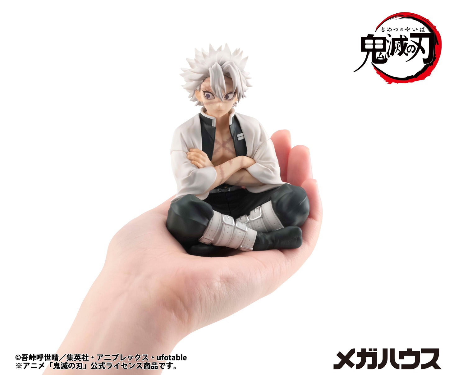 G.E.M. Series Demon Slayer:Kimetsu no Yaiba Palm size Shinazugawa-san(Repeat)