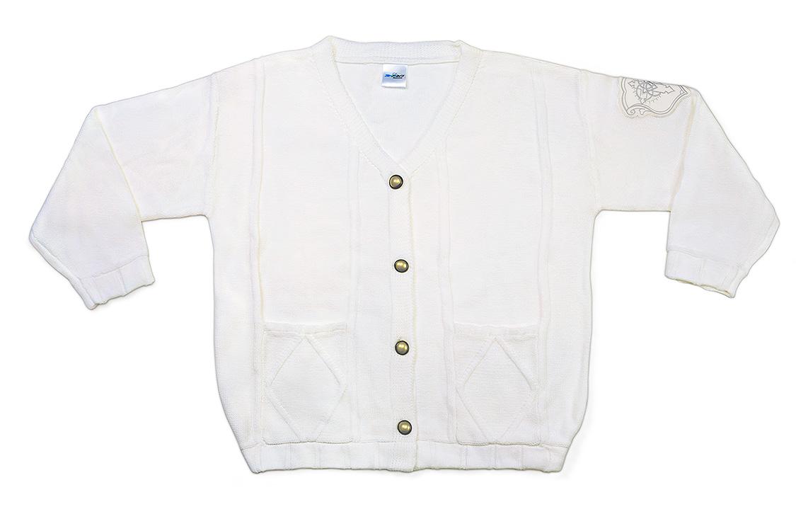 Blue Archive Hifumi's Cardigan