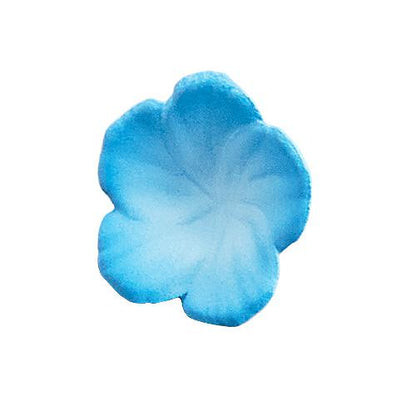 Isekaijoucho Universal Body Nemophila