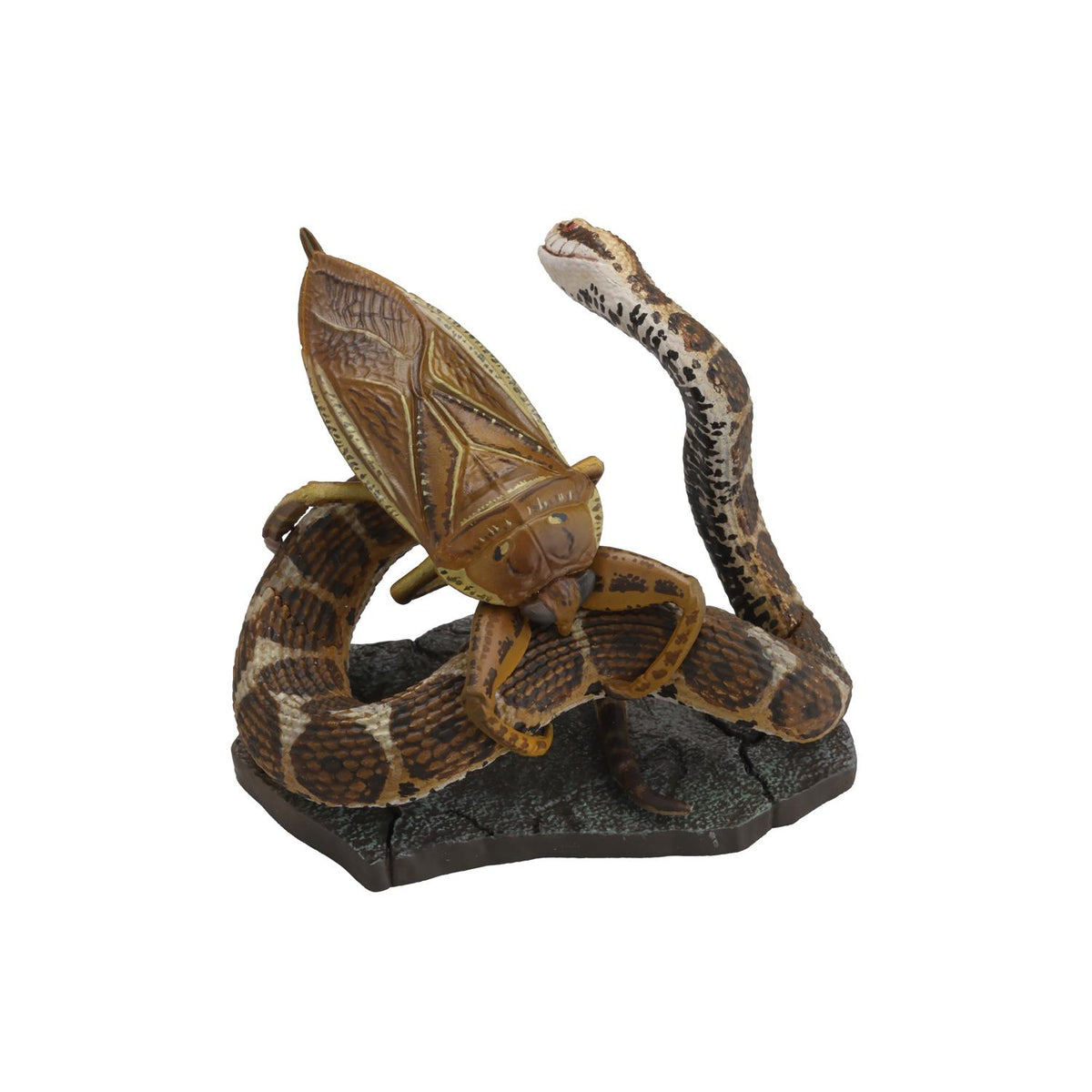 (Blind Box) Darwin's Amazing Animals: Stories of Wonder and Discovery Miniature Figure BOX