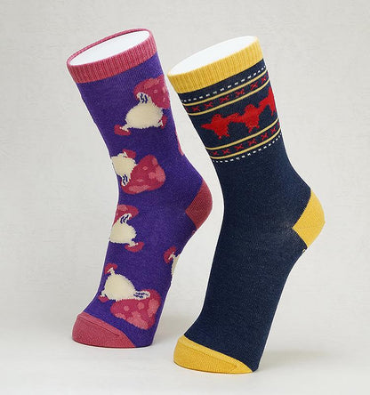 Delicious in Dungeon Marcille's Familiar Socks