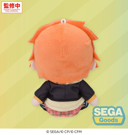 "HATSUNE MIKU: COLORFUL STAGE!" MYSEKAI Plush "Akito Shinonome Plush" (S)