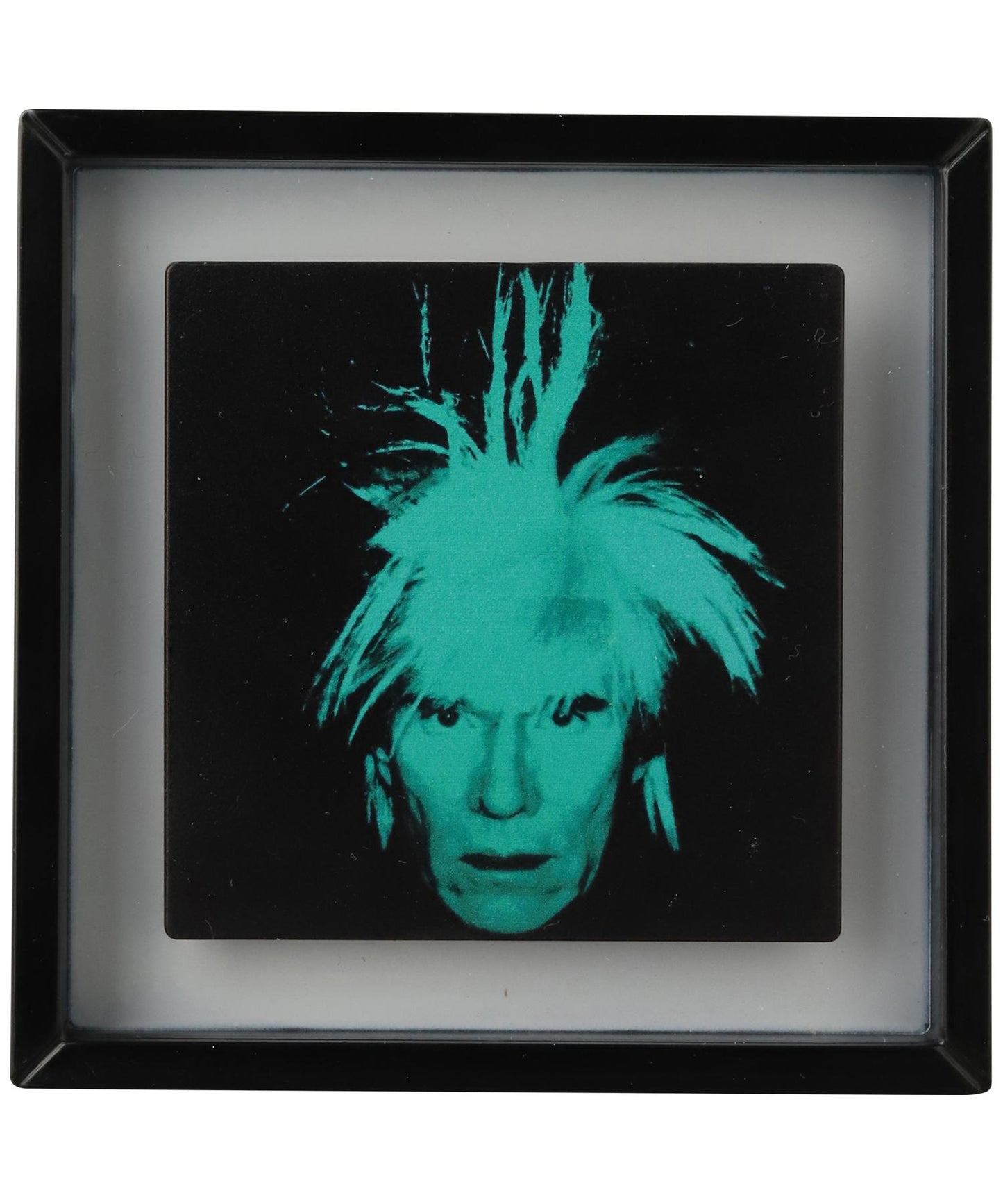 VCD ANDY WARHOL by ERIC SO