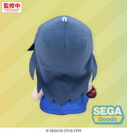 "HATSUNE MIKU: COLORFUL STAGE!" MYSEKAI Plush "Ichika Hoshino Plush" (S)