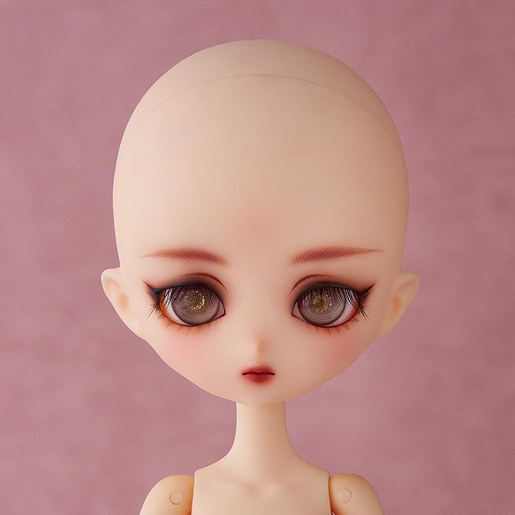 Harmonia bloom Anemone