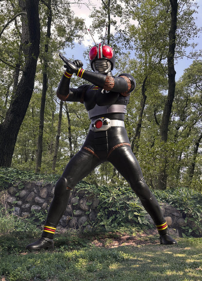 Ultimate Article Kamen Rider BLACK