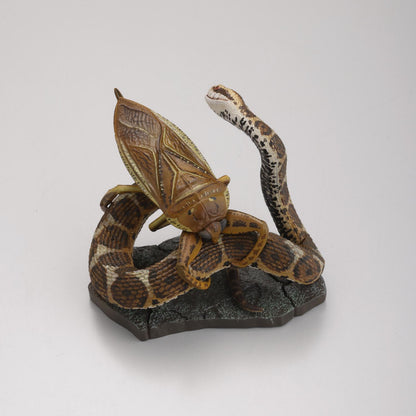 (Blind Box) Darwin's Amazing Animals: Stories of Wonder and Discovery Miniature Figure BOX
