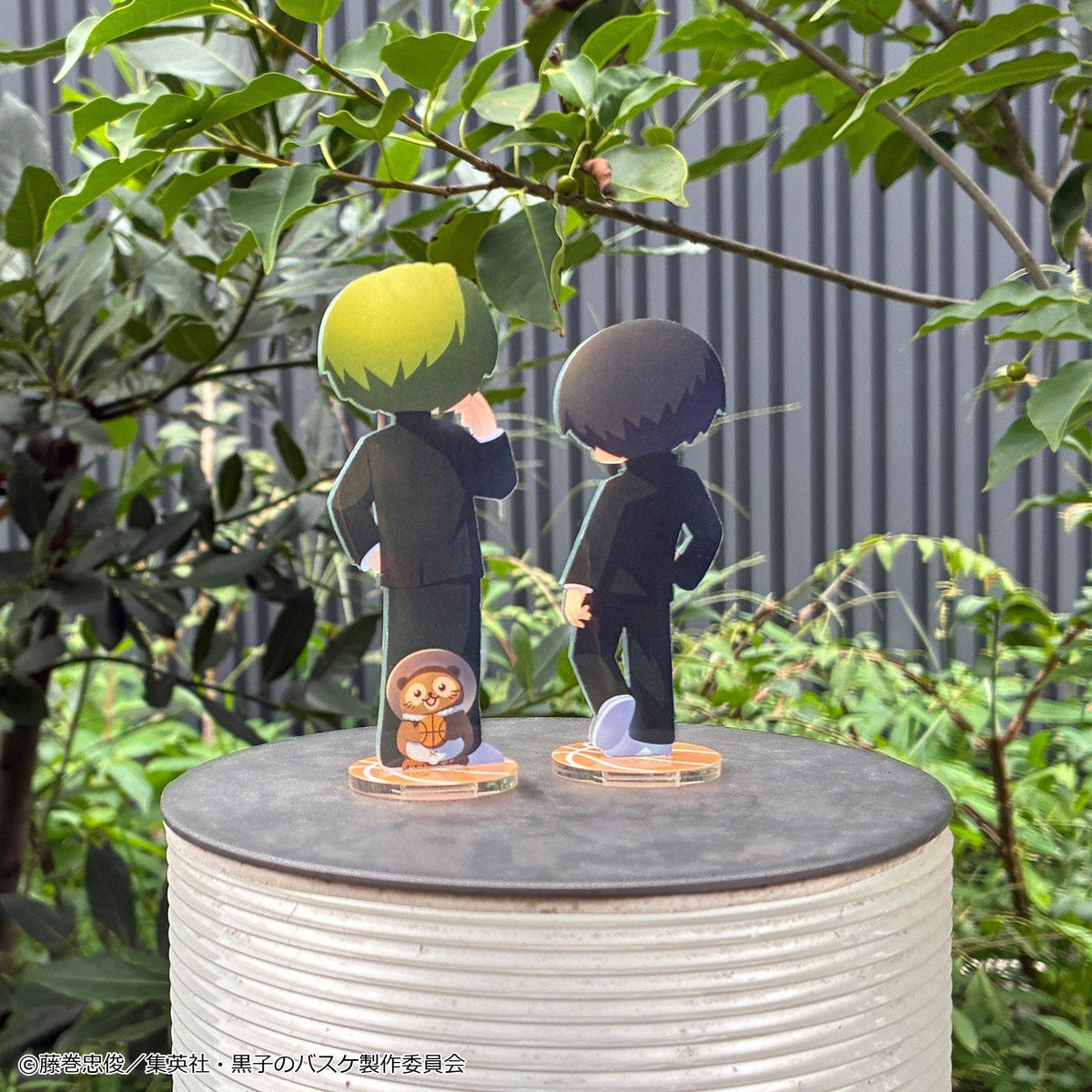 (Blind Box) Irusta Kuroko's Basketball