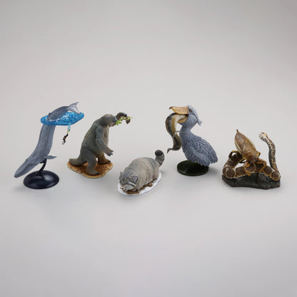 (Blind Box) Darwin's Amazing Animals: Stories of Wonder and Discovery Miniature Figure BOX
