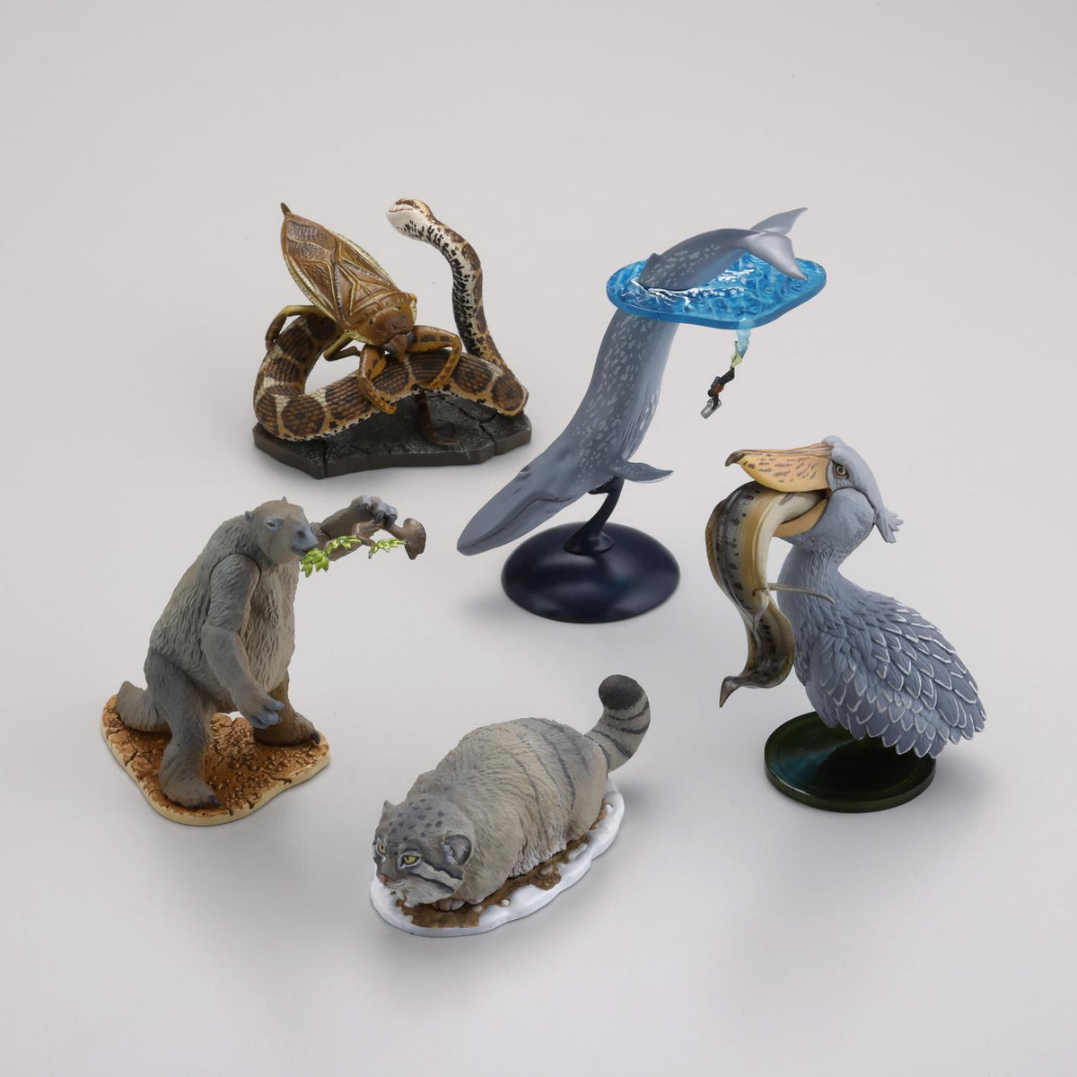 (Blind Box) Darwin's Amazing Animals: Stories of Wonder and Discovery Miniature Figure BOX